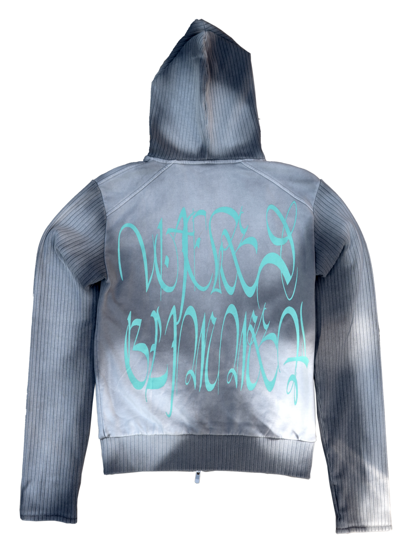 Pet Scum Hoodie