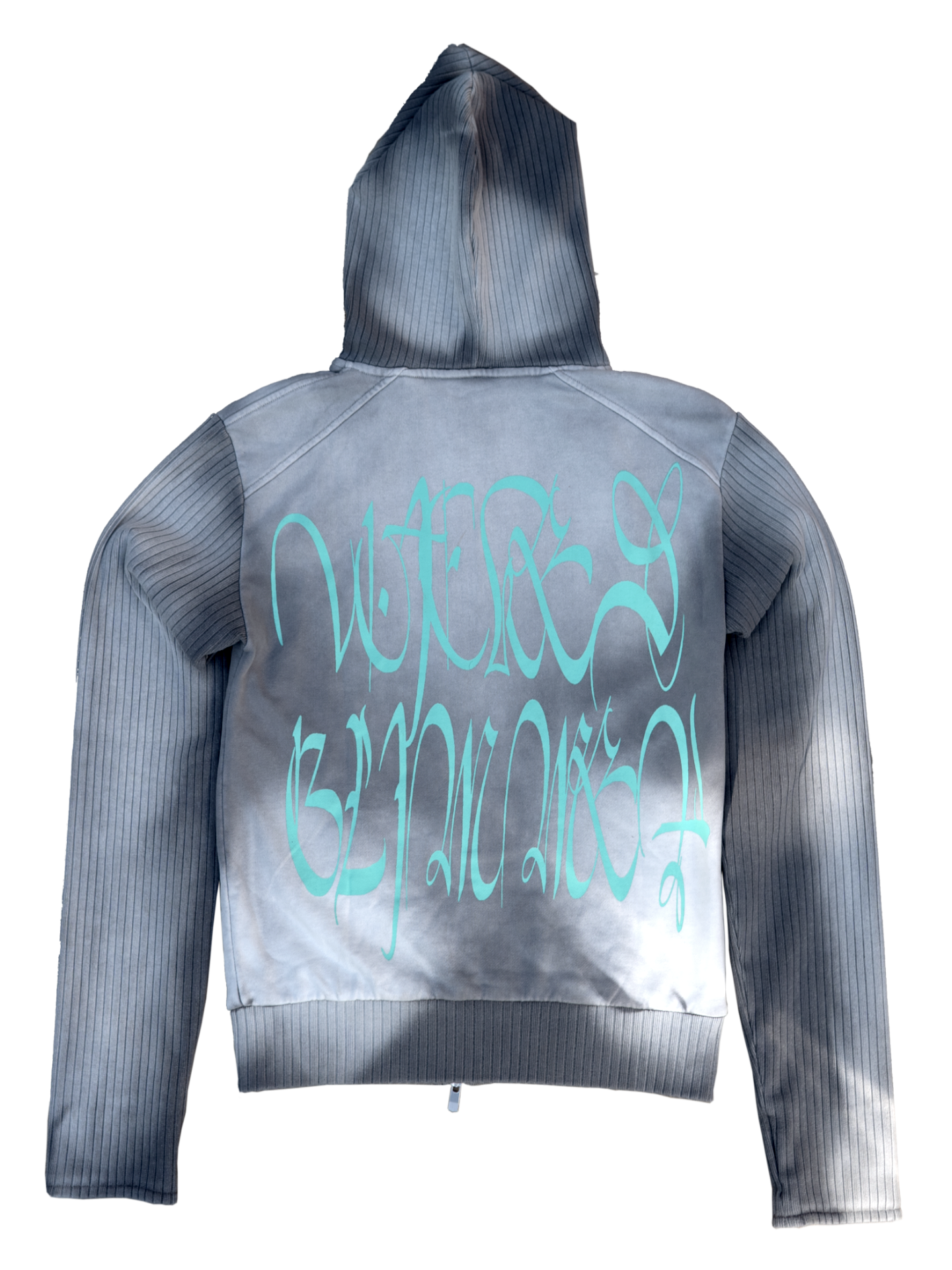 Pet Scum Hoodie